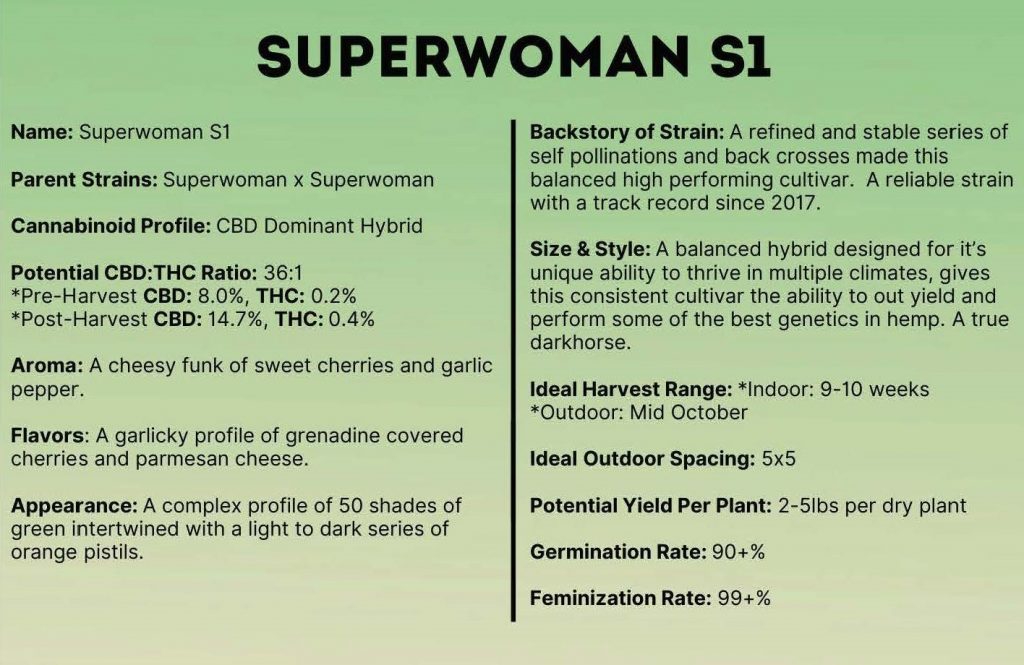 Super Woman S1